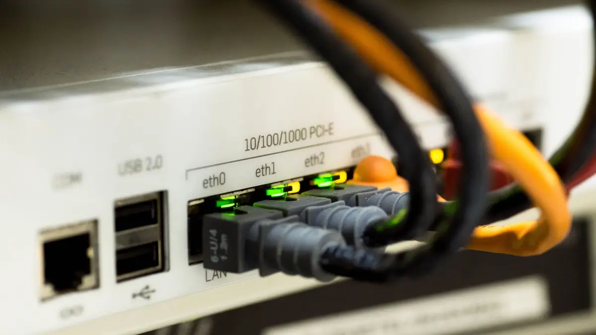 Detailed close-up of ethernet cables and network connections on a router, showcasing modern technology.