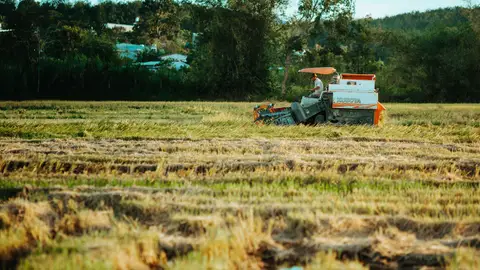 Tractor harvesting rice in a lush field in Kon Tum, Vietnam.