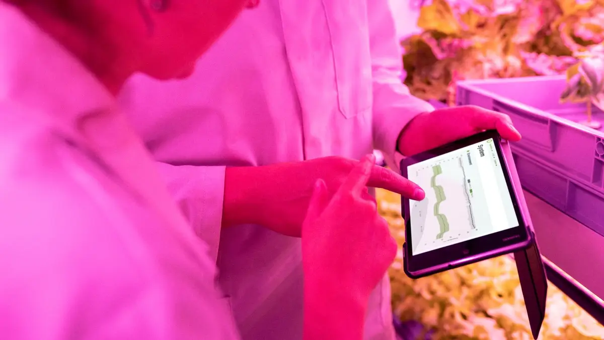 Scientists monitor crop growth in an indoor farm using digital tablets for efficient data analysis.