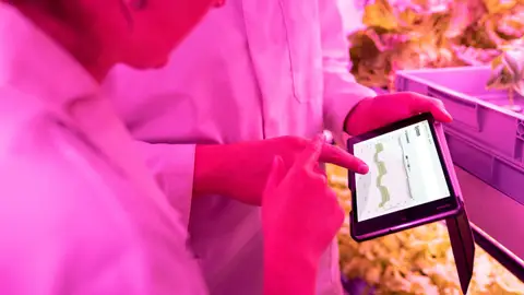 Scientists monitor crop growth in an indoor farm using digital tablets for efficient data analysis.