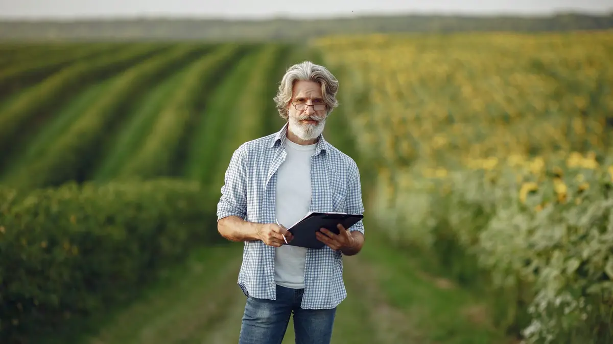 Mature farmer standing in a lush sunflower field using a tablet for agribusiness.