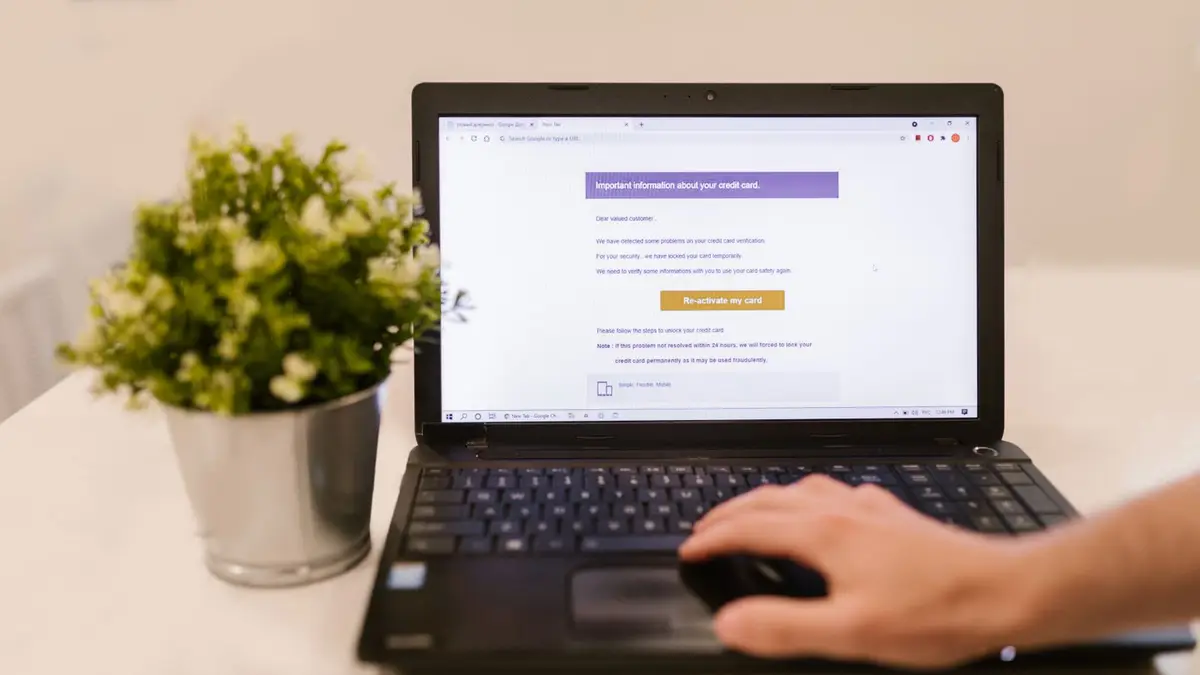 Person using a laptop to read an email indoors beside a potted plant.