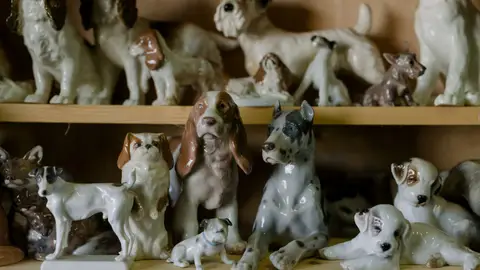 Charming collection of vintage porcelain dog figurines on wooden shelves.